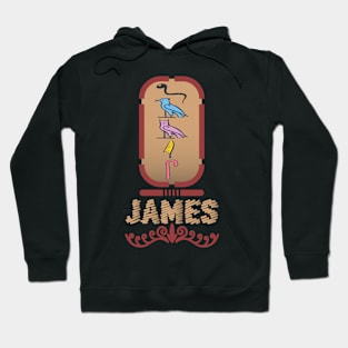 JAMES-American names in hieroglyphic letters-James, name in a Pharaonic Khartouch-Hieroglyphic pharaonic names Hoodie